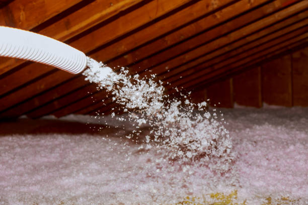Best Commercial Insulation in Wyoming, DE